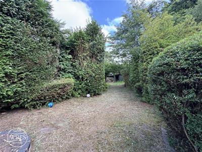 Picture 27